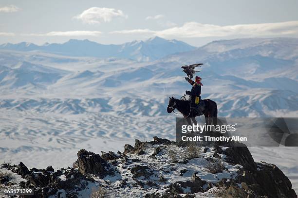 golden eagle hunter on mountain peak - cetrería fotografías e imágenes de stock