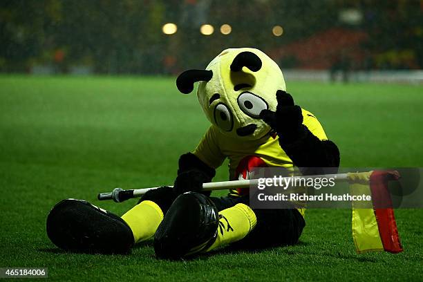 Watford mascot Harry the Hornet entertains the crowd before the start of the Sky Bet Championship match between Watford and Fulham at Vicarage Road...