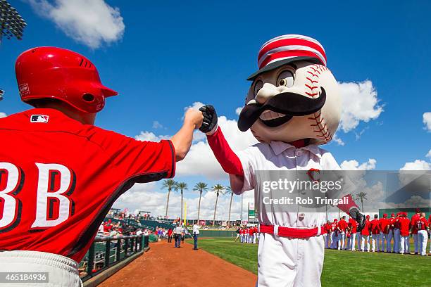 The Cincinnati Reds mascot fist bumps the balboy before a spring training game between the Cincinnati Reds and the Cleveland Indians at Goodyear...