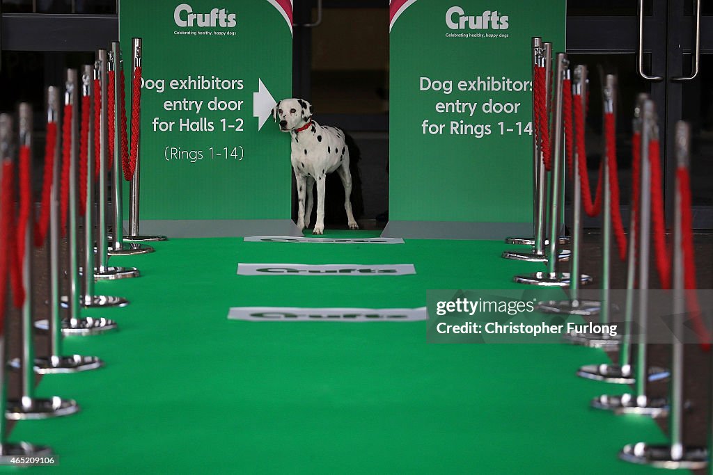 Crufts 2015 Photocall In Birmingham