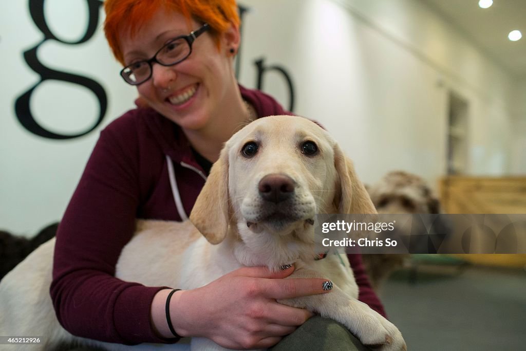 Toronto Police Trauma Dog