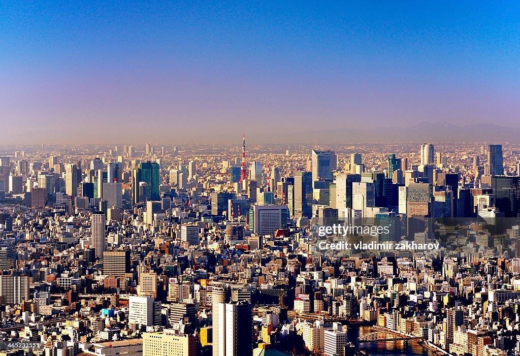 Tokyo Downtown cityscape