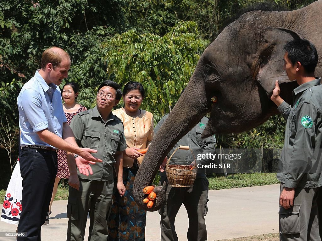 CHINA-BRITAIN-DIPLOMACY-ROYALS