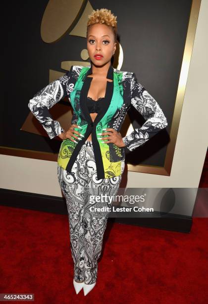 Recording artist Chrisette Michele attends the 56th GRAMMY Awards at Staples Center on January 26, 2014 in Los Angeles, California.