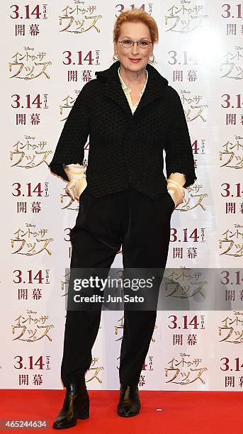 Actress Meryl Streep attends the photo call for "Into the Woods" at The Riz Carlton Tokyo on March 5, 2015 in Tokyo, Japan.