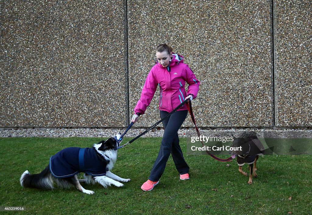 First Day Of Crufts 2015