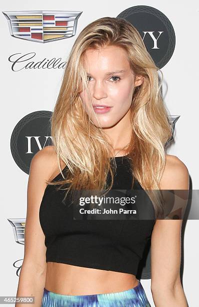 Model Joy Corrigan attends the Miami Innovator Dinner Presented By Cadillac And IVY at The Betsy Hotel on March 4, 2015 in Miami, Florida.