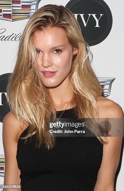 Model Joy Corrigan attends the Miami Innovator Dinner Presented By Cadillac And IVY at The Betsy Hotel on March 4, 2015 in Miami, Florida.