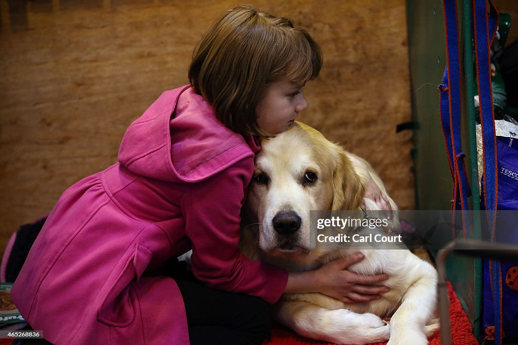 First Day Of Crufts 2015