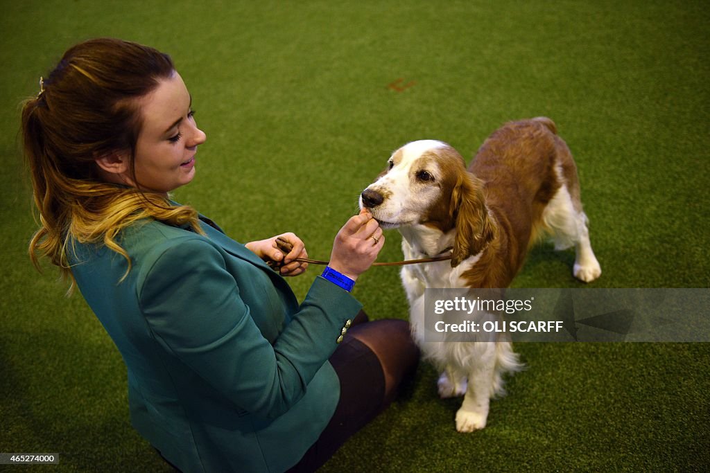 BRITAIN-ANIMAL-CRUFTS