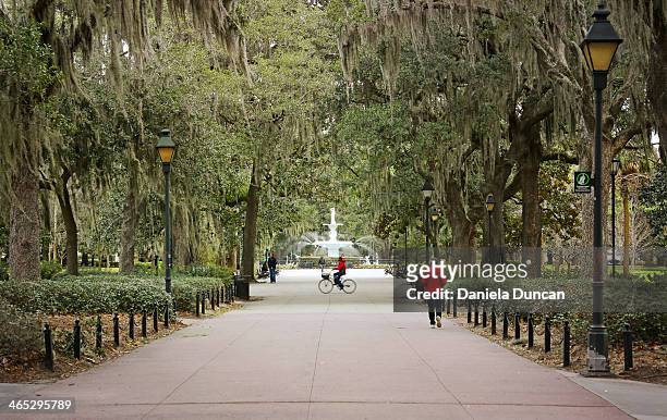 forsyth park in savannah - savannah stock pictures, royalty-free photos & images