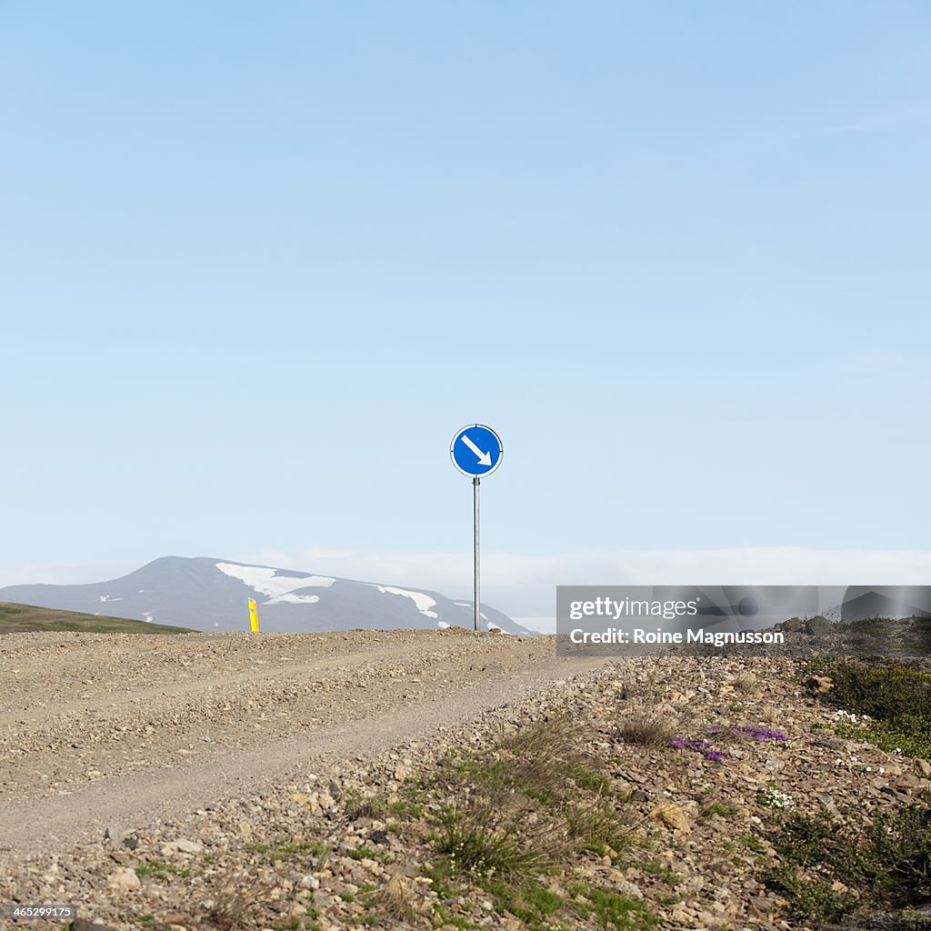 Road blamed in landscape