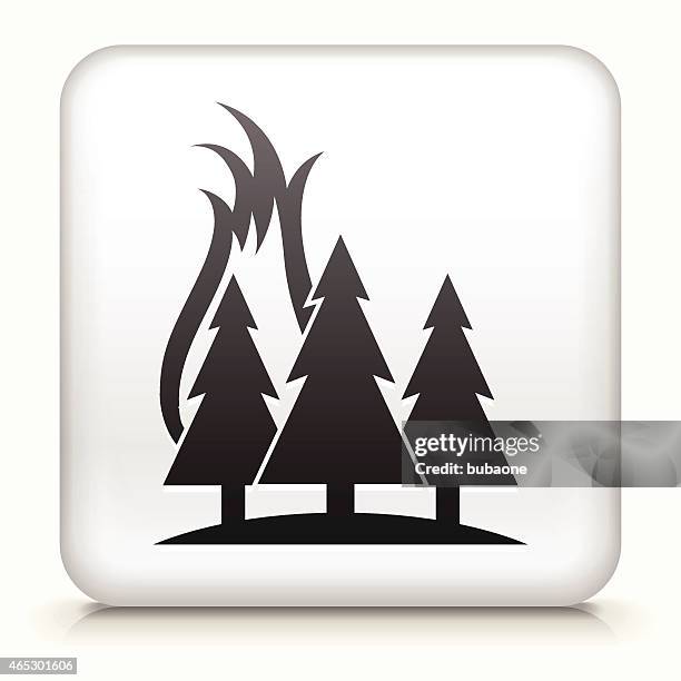 stockillustraties, clipart, cartoons en iconen met square button with forest fire interface icon - brandstichting