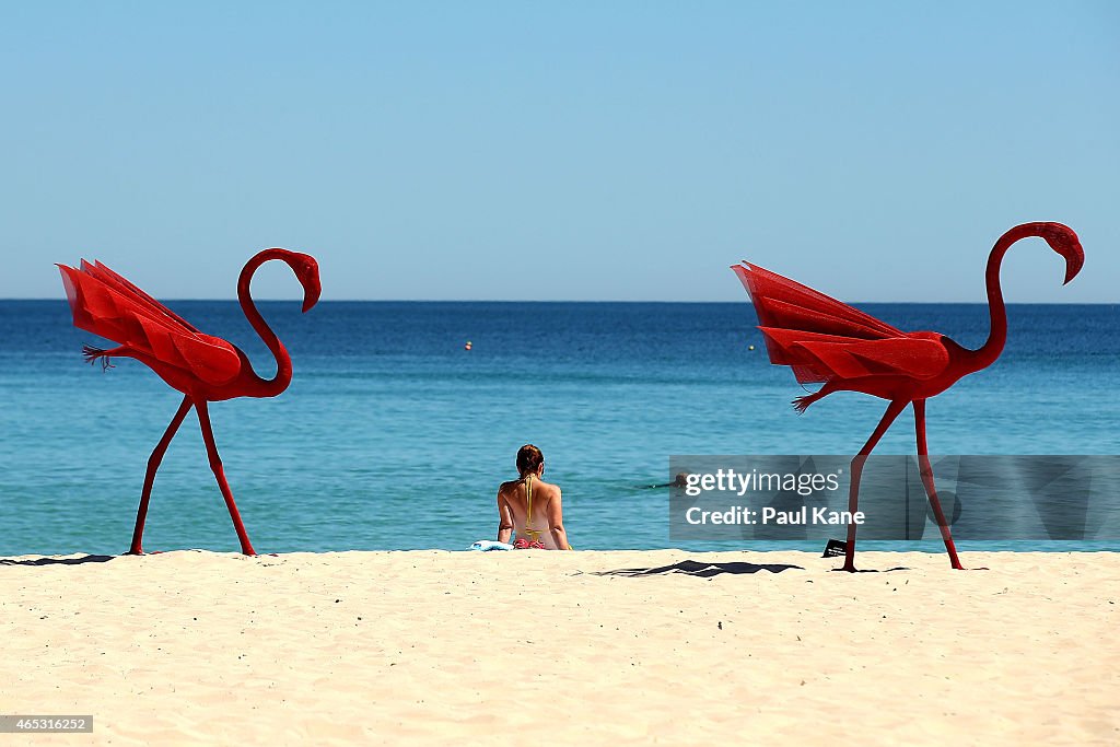 Sculpture By The Sea Launched At Cottesloe Beach