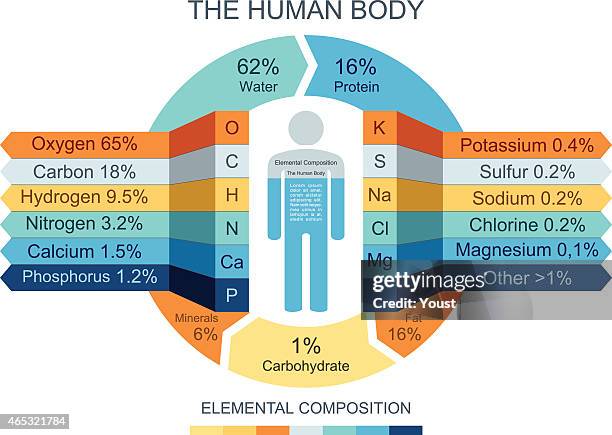 3,199 Human Body Chart Stock Photos, High Biology Diagrams