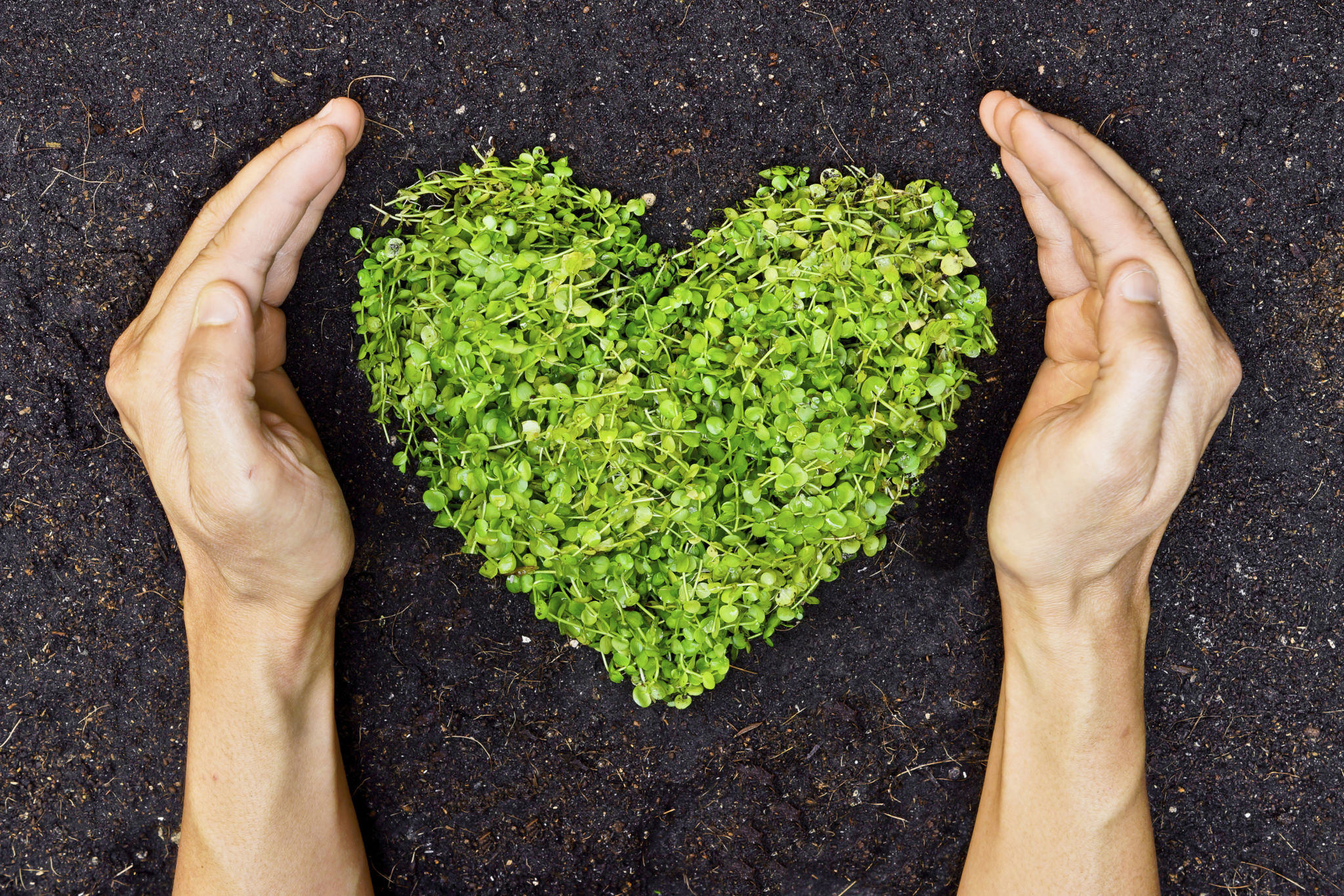 ethical farming