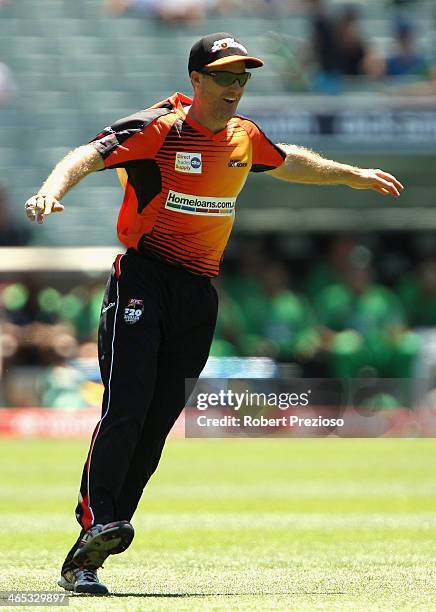 Simon Katich of the Scorchers celebrates running out David Hussey of the Stars during the Big Bash League match between the Melbourne Stars and the...