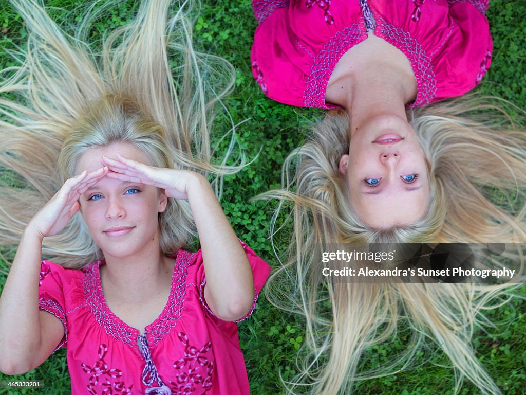 Twins in the grass gazing towards the sky