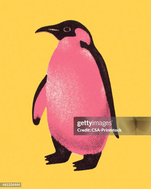 penguin - penguin stock illustrations