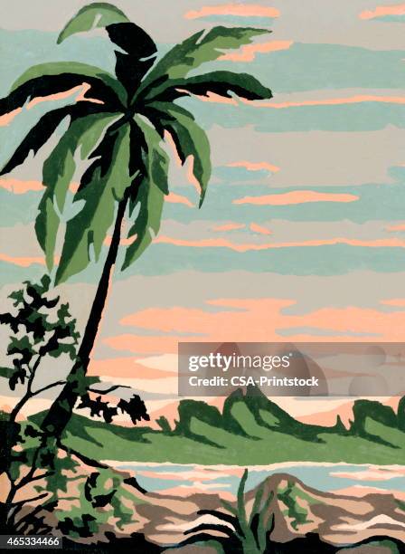 bildbanksillustrationer, clip art samt tecknat material och ikoner med beach scene - south pacific ocean