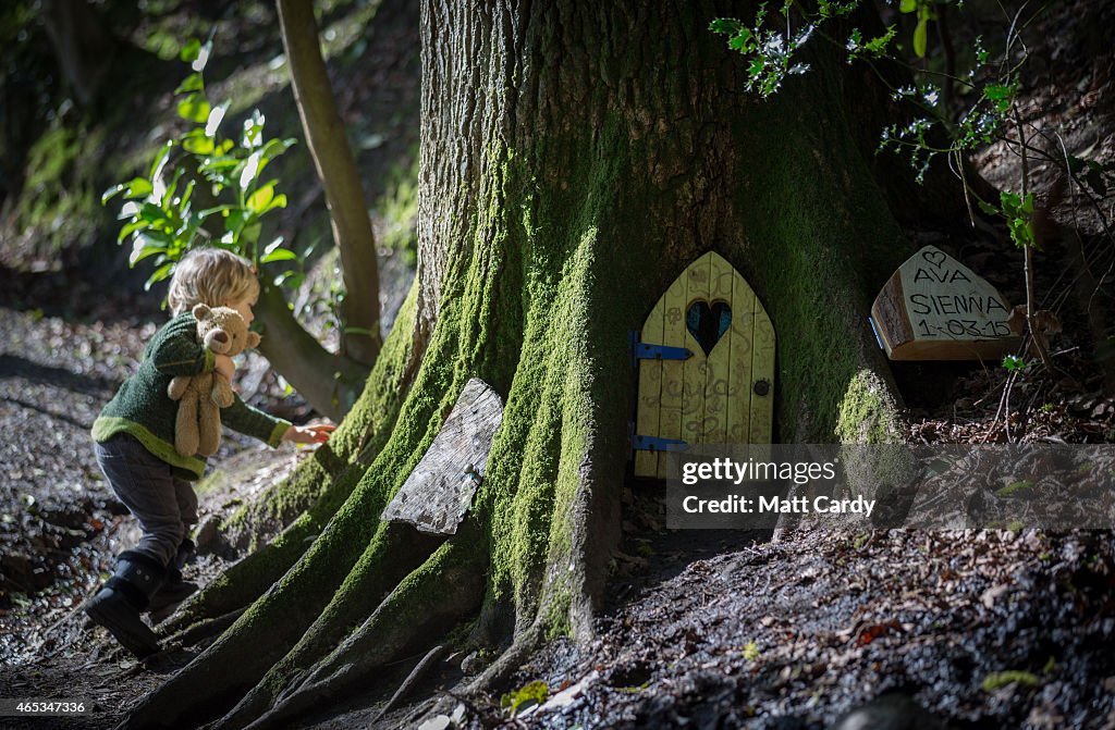 Clampdown On Fairy Doors Appearing In Somerset Woods