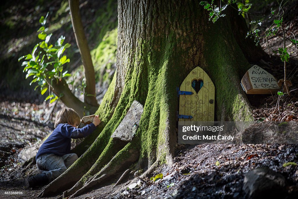 Clampdown On Fairy Doors Appearing In Somerset Woods