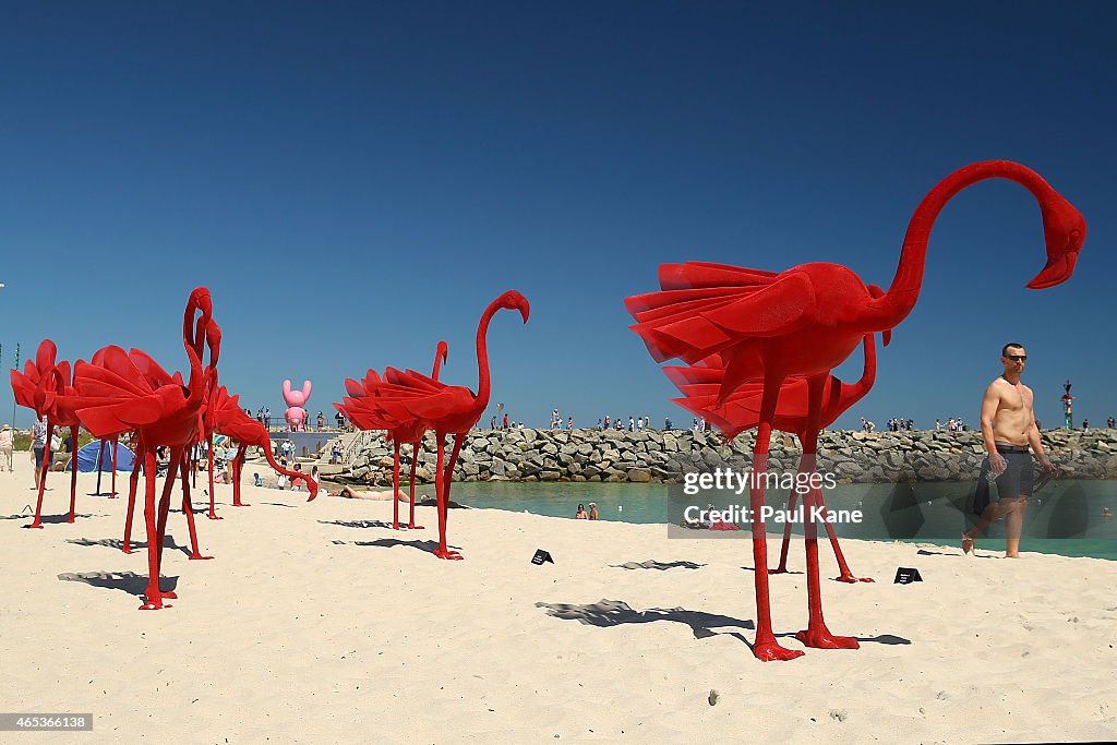 Sculpture By The Sea Launched At Cottesloe Beach