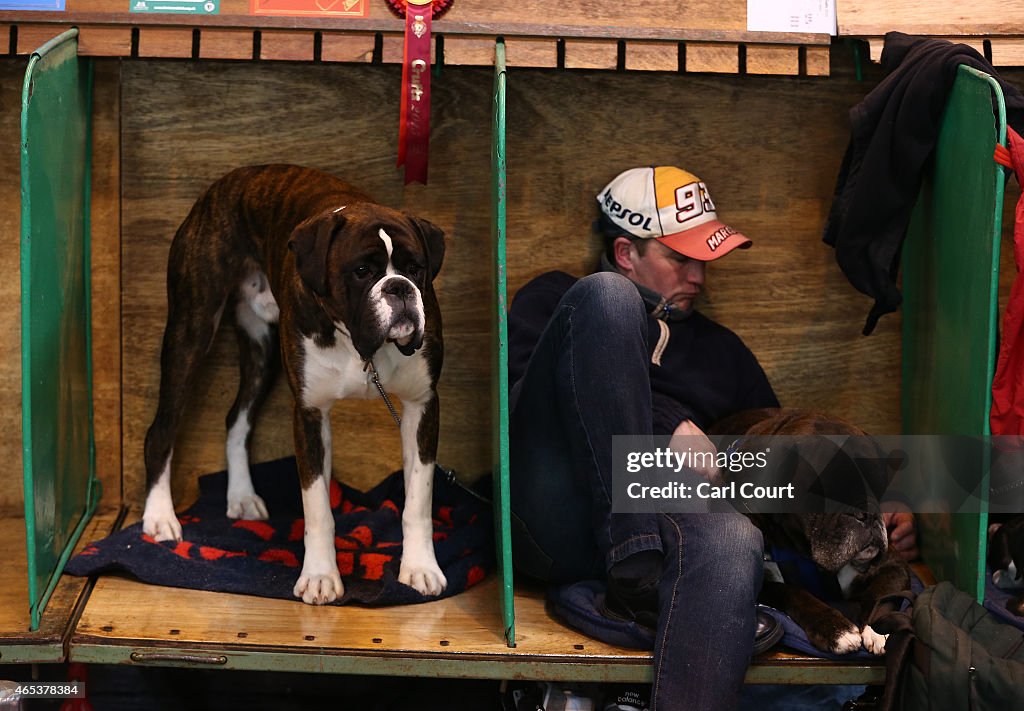 Second Day Of Crufts 2015