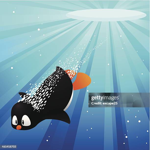 penguin diving - water penguin stock illustrations