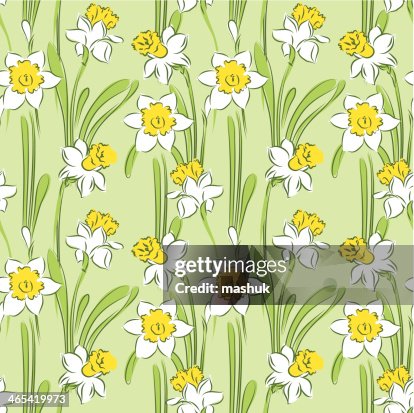 Daffodil seamless pattern Daffodil seamless pattern