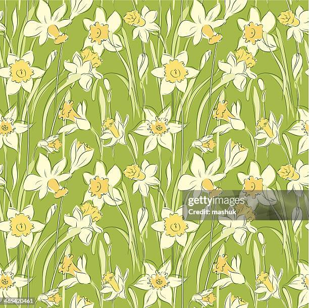 ilustrações de stock, clip art, desenhos animados e ícones de narciso sem costura padrão - daffodil