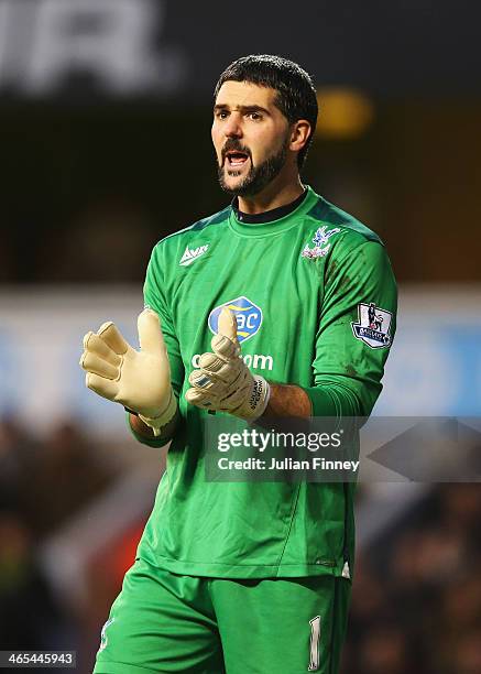 Goalkeeper Julian Speroni of Crystal Palace gives instructions during the Barclays Premier League match between Tottenham Hotspur and Crystal Palace...