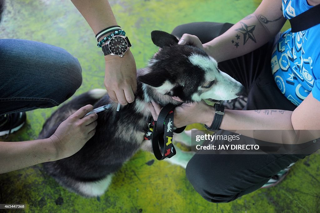 PHILIPPINES-HEALTH-ANIMAL-RABIES