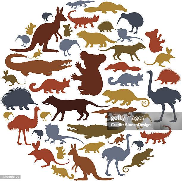 stockillustraties, clipart, cartoons en iconen met australian animals icon collage - dierentuin