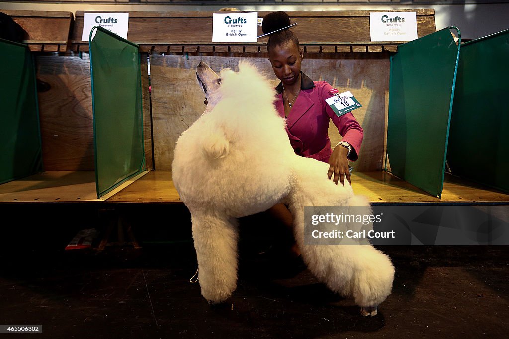 Third Day of Crufts 2015