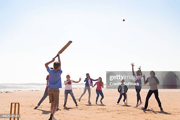 cricket on the beach - beach cricket 個照片及圖片檔