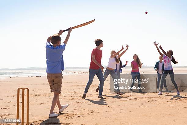 cricket on the beach - beach cricket stockfoto's en -beelden