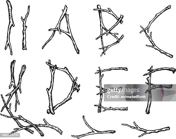 illustrations, cliparts, dessins animés et icônes de alpha le twigs - lettre b