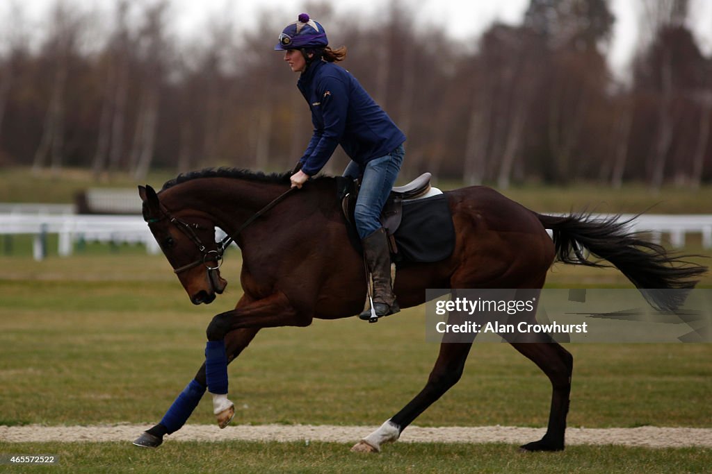 Cheltenham Gallops