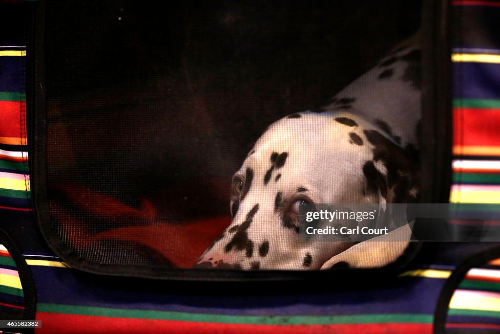 Fourth And Final Day Of Crufts 2015