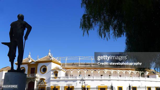 bullring seville - stevebphotography stock pictures, royalty-free photos & images