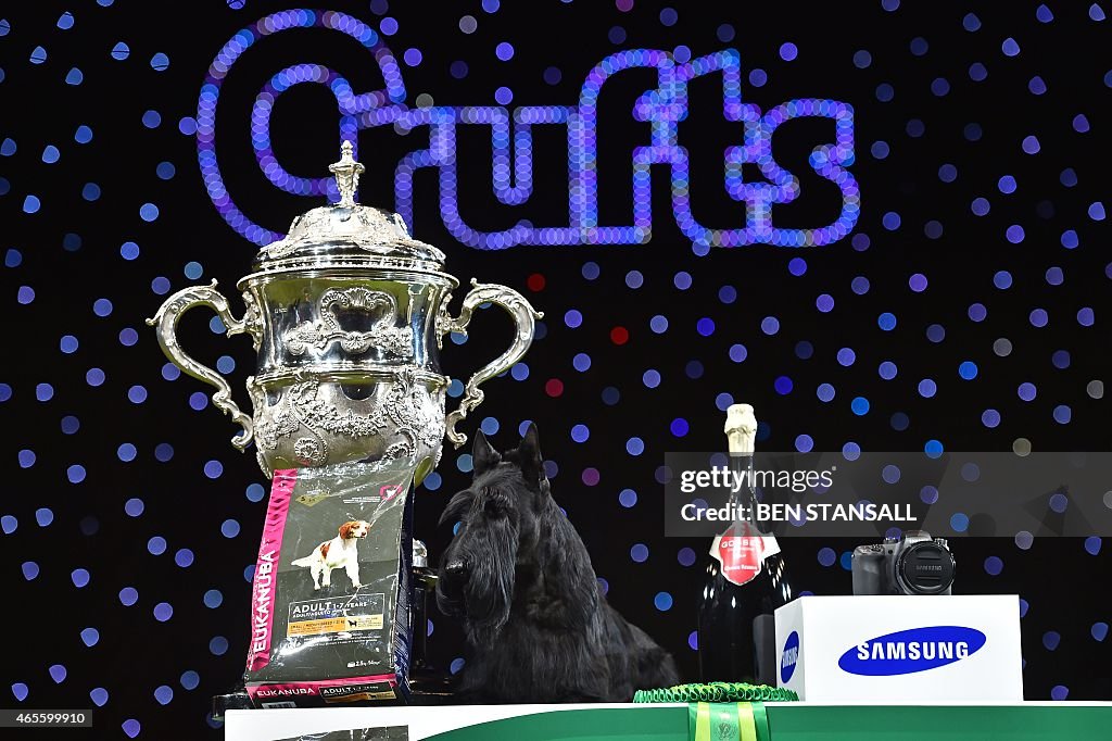 BRITAIN-ANIMAL-CRUFTS