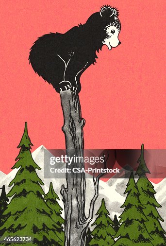 Bear Cub Standing on a Tree Stump Bear Cub Standing on a Tree Stump