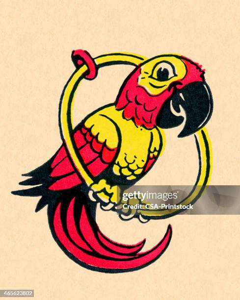 parrot perched on a ring - parrot stock illustrations