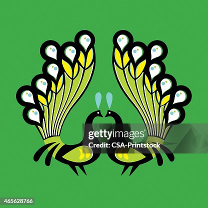 Two Peacocks Two Peacocks