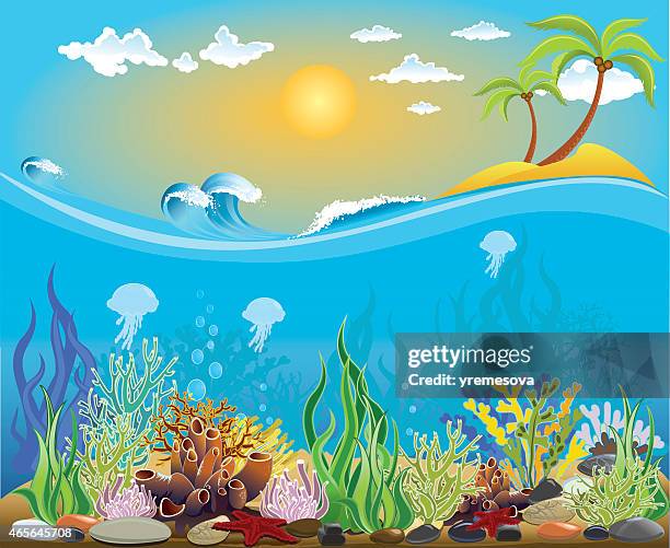 stockillustraties, clipart, cartoons en iconen met sea bottom illustration - koraal