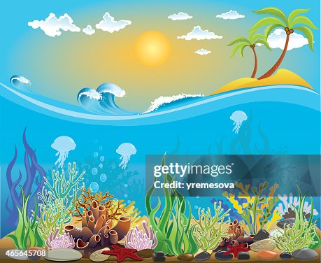 Sea bottom illustration Sea bottom illustration