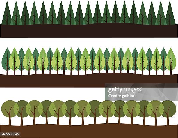 Three Borders With Trees High-Res Vector Graphic - Getty Images