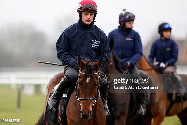 Paul Townend on Hurricane Fly on the gallops at Cheltenham racecourse on March 09, 2015 in Cheltenham, England.