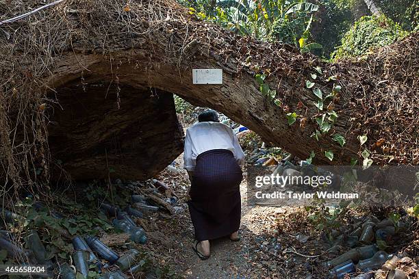 Thein Zaw, one of the owners of The Nagar Glass Factory, walks under one of the trees uprooted during Cyclone Nargis on March 9, 2015 in Yangon,...